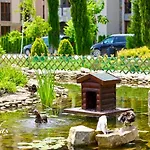 студио каскадас м5 Lägenhet Slăntjev Brjag